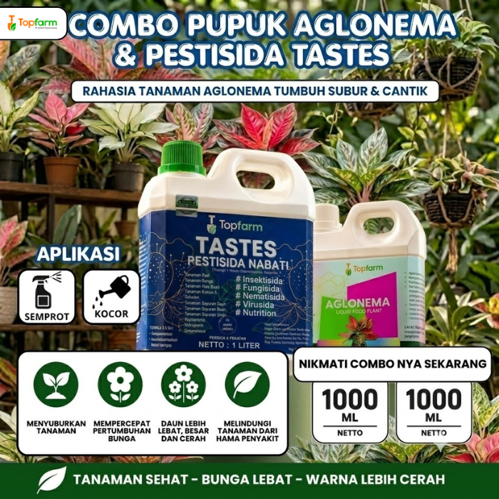 Pupuk Aglonema Biar Cepat Beranak / Pupuk Penyubur Pengkilap Daun / Obat Tanaman Aglonema Daun Layu 