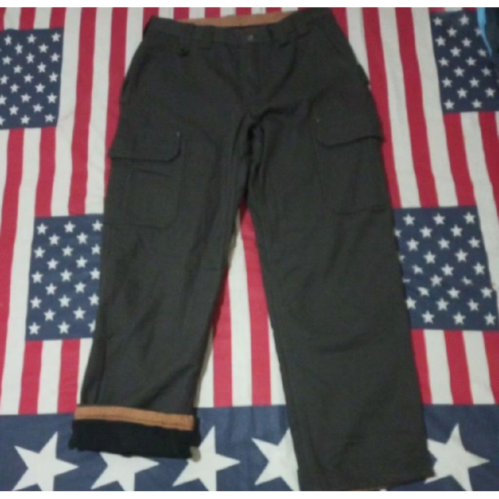 Duluth carpenter pants