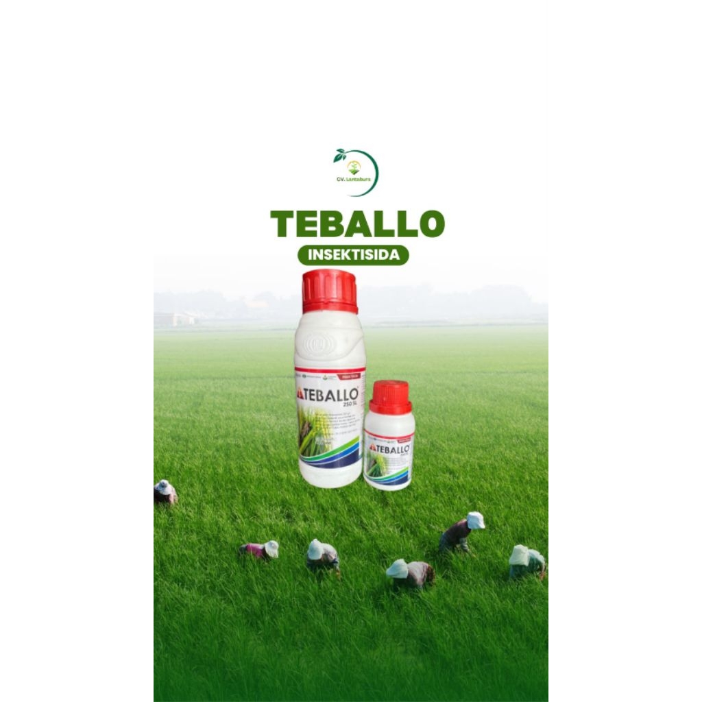 TEBALLO 250 SL