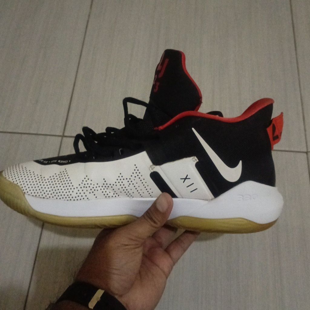 Nike LeBron Ambassador 12