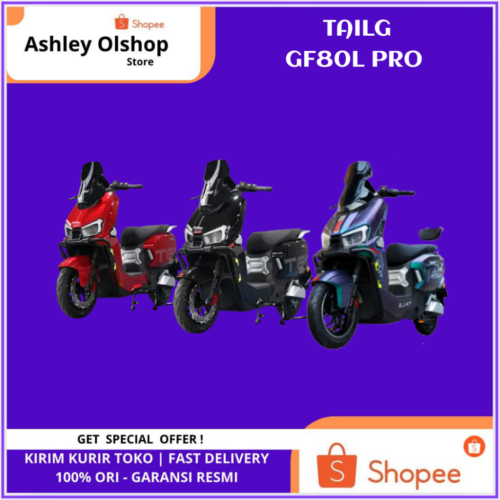 TAILG Sepeda Listrik GF80L Pro Power 1000 Watt Selis Lithium 60V24Ah TAILG GF80L Pro
