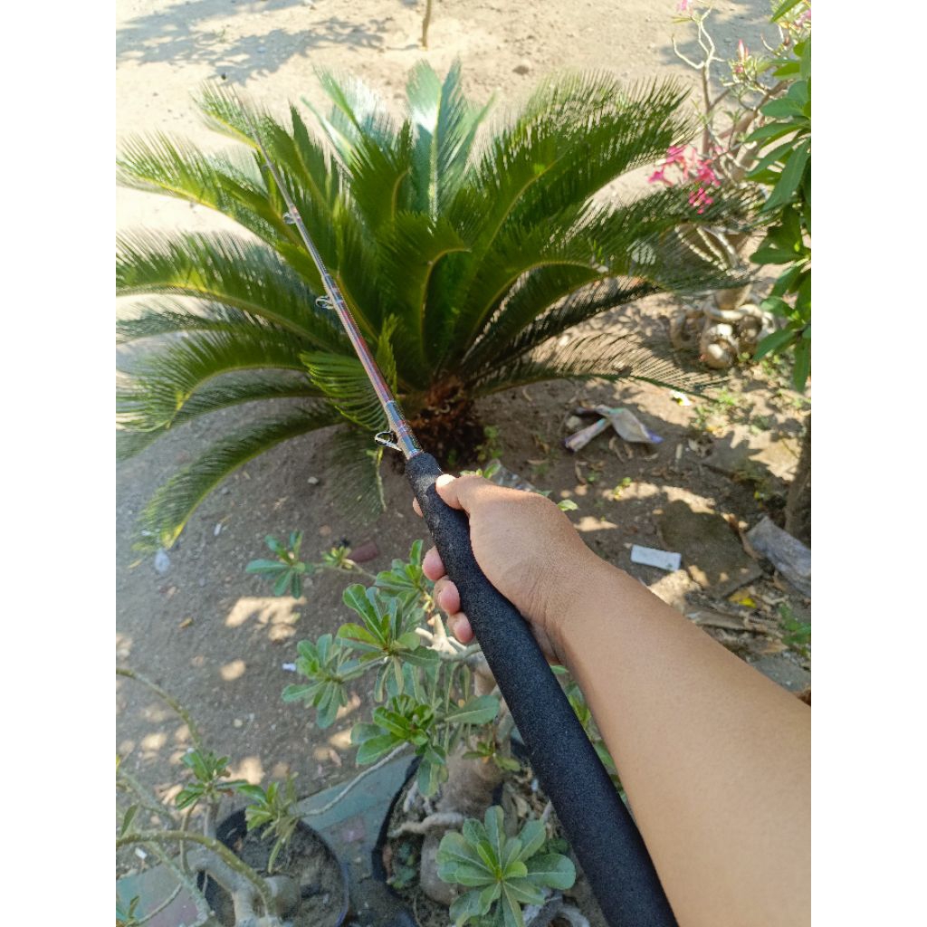 Besutan Carbon Solid 165cm kaku