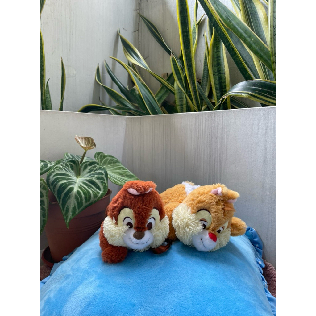 BONEKA CHIPDALE SEPASANG PITA