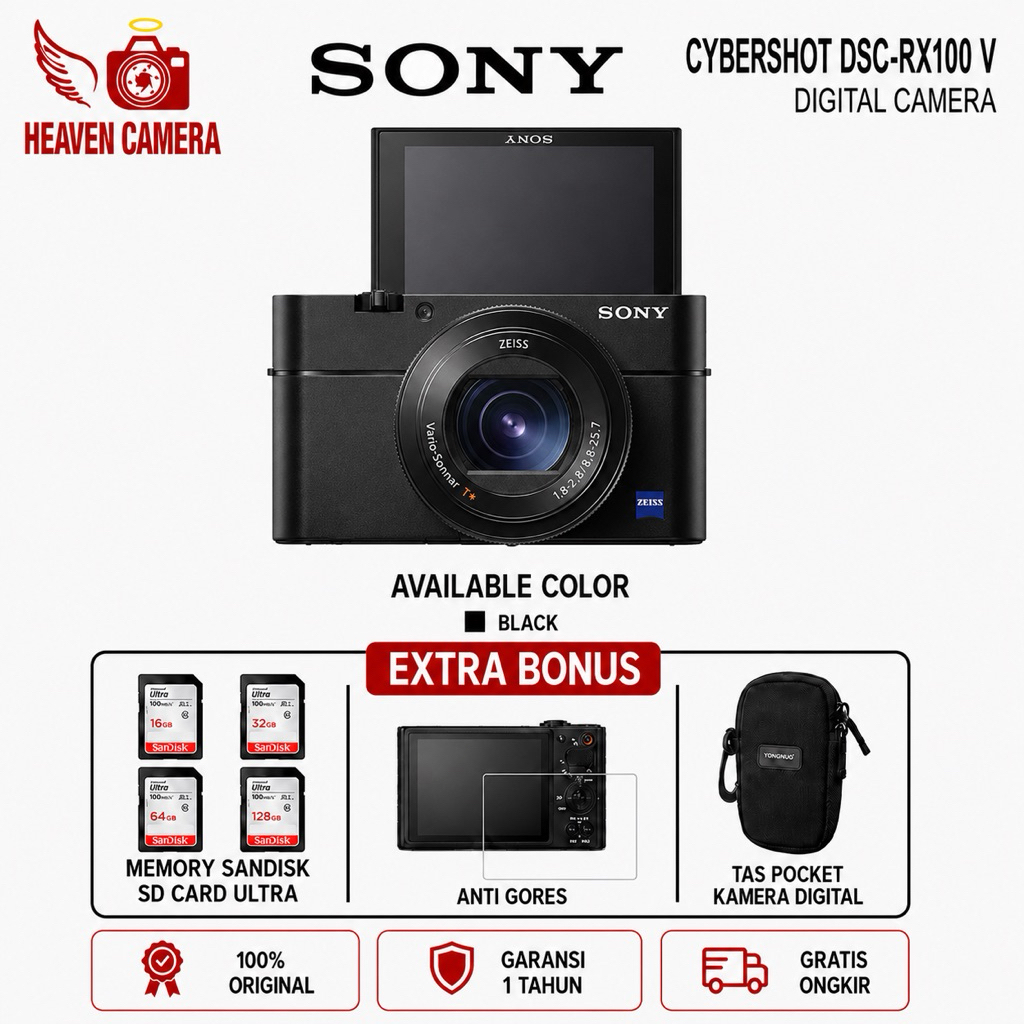 SONY CYBERSHOT DSC RX100 V / SONY DSC RX100 V / SONY RX100 V