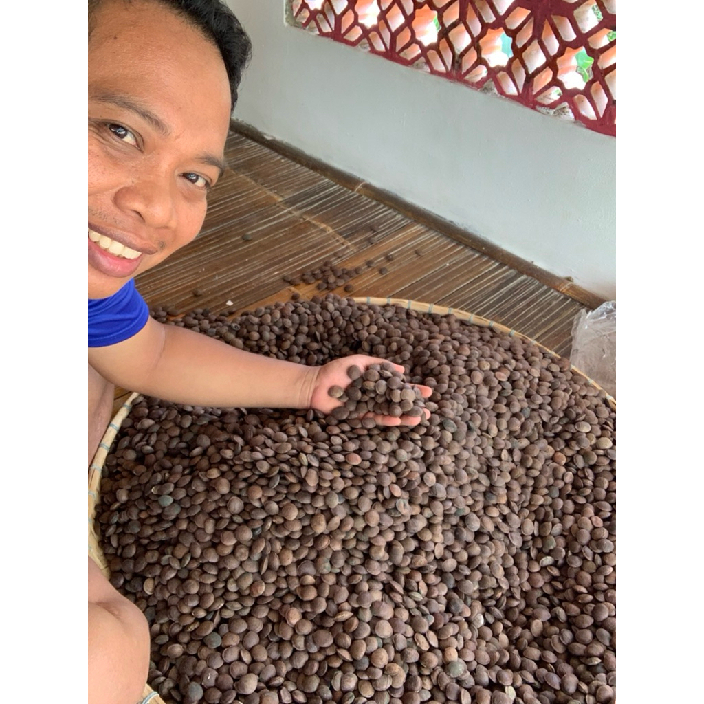 kacang sacha inchi 1kg ,500gr,200gr