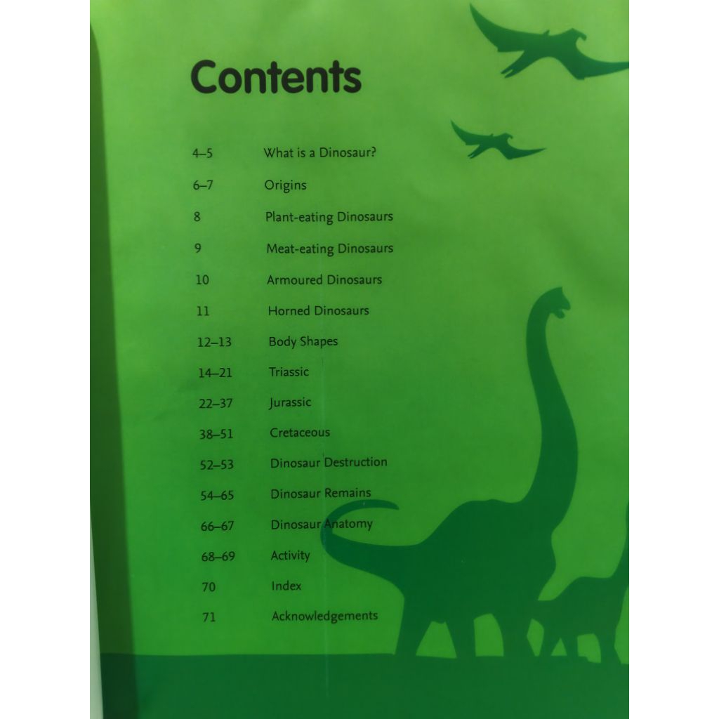 My first book of dinosaurs