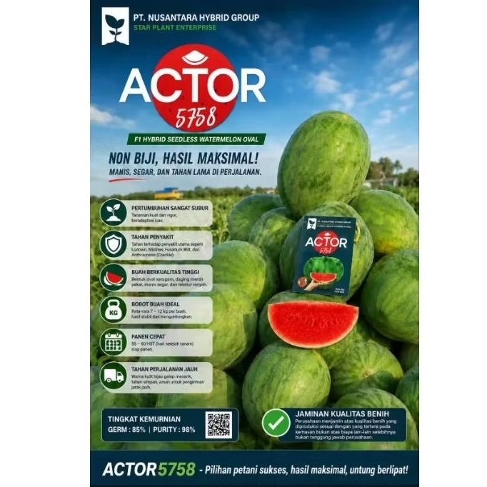 Benih Semangka ACTOR 5758 / Non Biji / Merah / Oval