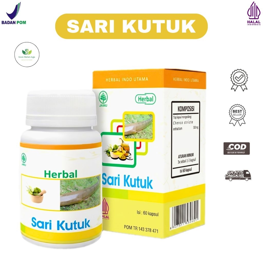 Kapsul Ikan Kutuk Premium Original Obat Herbal Luka Pasca Operasi  Albumin Ikan Gabus Untuk Diabetes