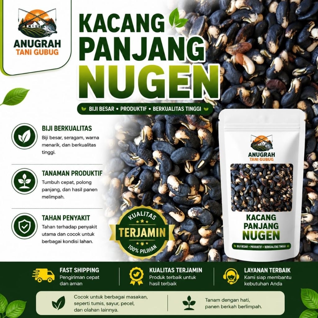 150 BENIH BIJI KACANG PANJANG HIJAU NUGEN LIBRA BIJI HITAM PUTIH