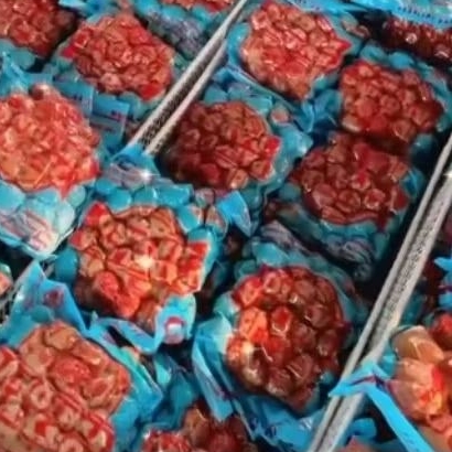 bakso panglima