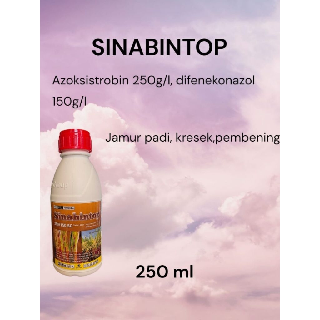 SINABINTOP (fungisida azoksistrobin,difekonazol)