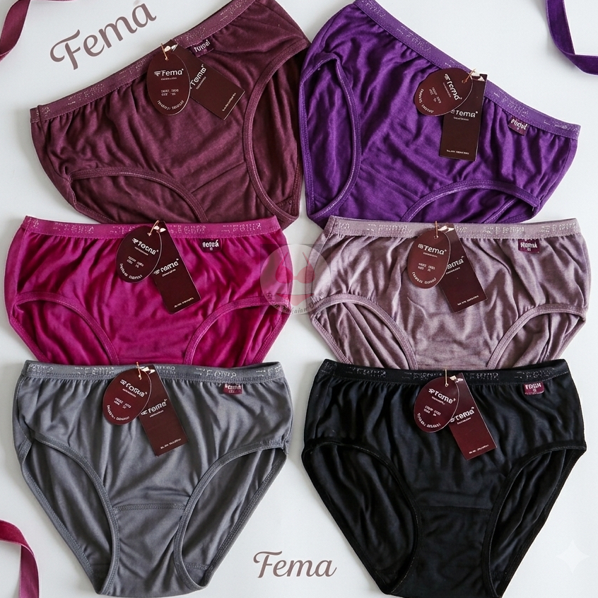 Fema 2220 CD Celana Dalam Wanita Polos Ukuran M L XL 3L