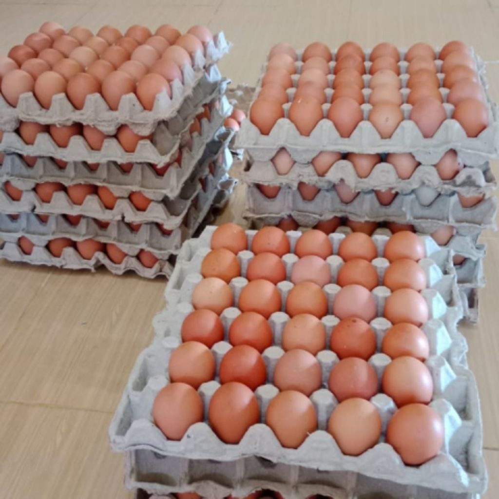 TELUR AYAM NEGRI 1KG 1,5KG 2 KG TURI SLEMAN YOGYAKARTA FRESH DAN HEALTHY TERDEKAT