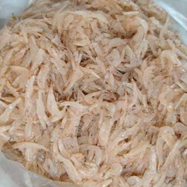 Udang Rebon - Udang Peci rebon basah fresh segar 250gr