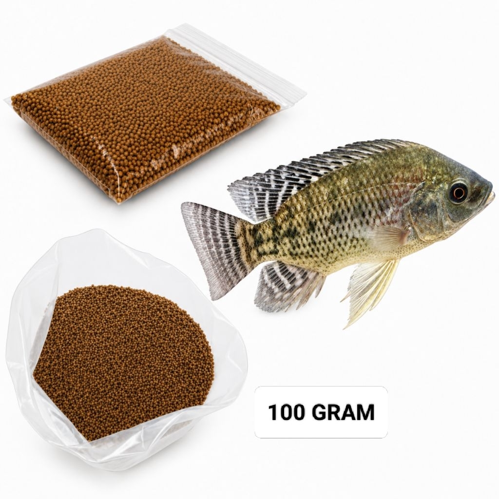 100 Gram Pelet Ikan Mujair PF 800 0,8mm Pakan Pertumbuhnn Mujair
