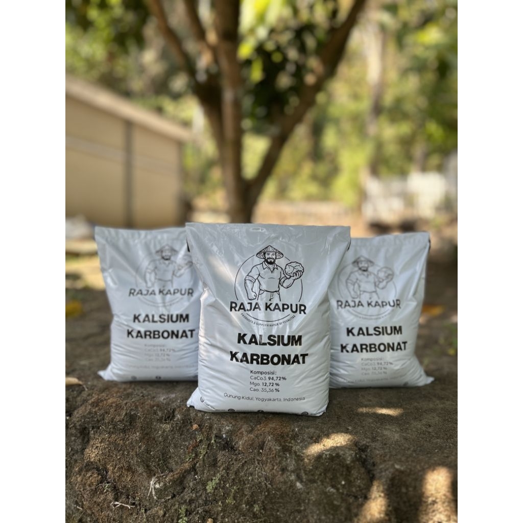 Kalsium Karbonat Serbuk 2kg