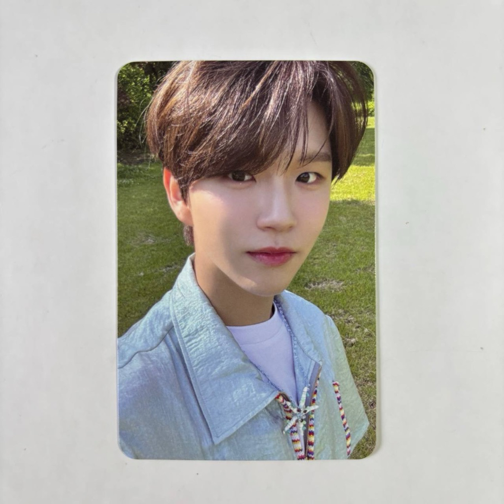 PHOTOCARD JAEHEE SONGBIRD LETTER VER OFFICIAL PC JAEHEE NCT WISH