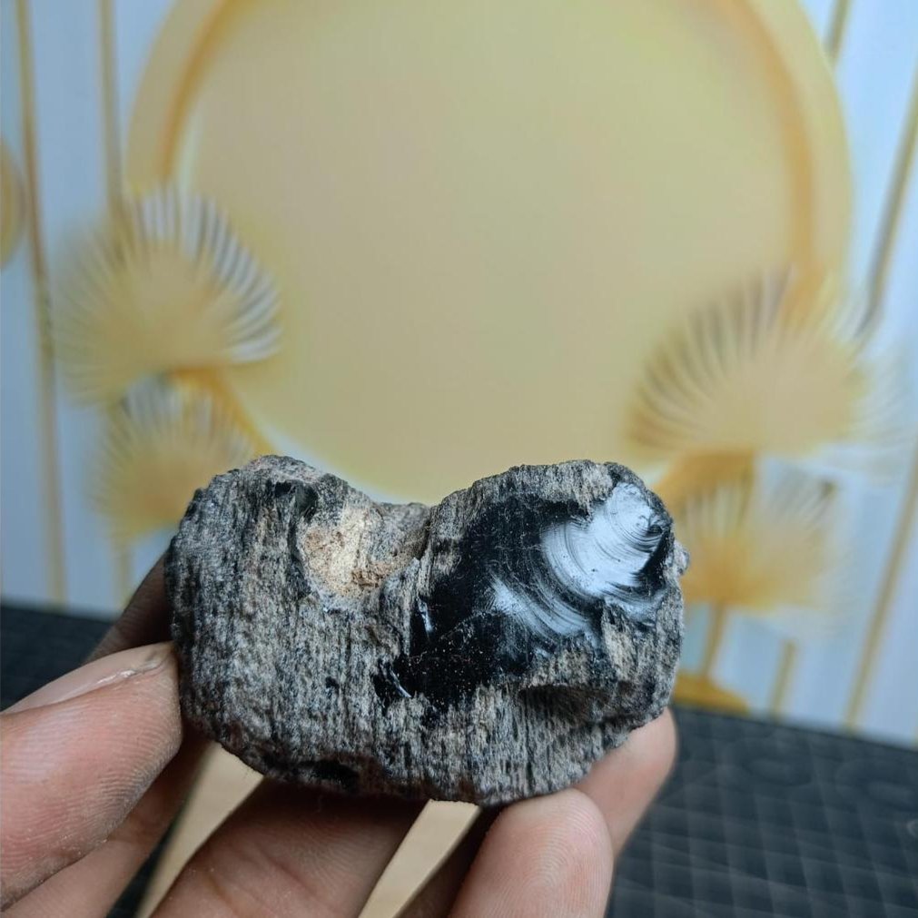 Tektite Tibet Rough / Raw (1) Asli Batu Alam