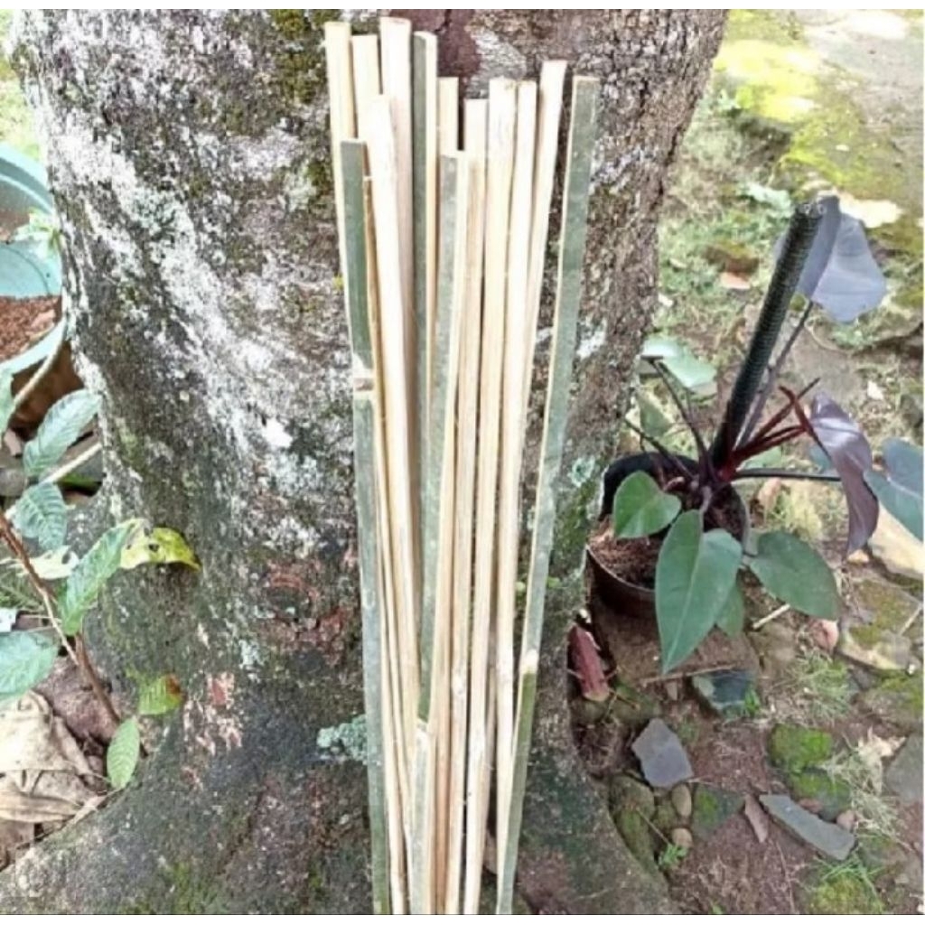 Bambu bilah / Bambu Ajir tanaman / Tiang bendera 120 cm