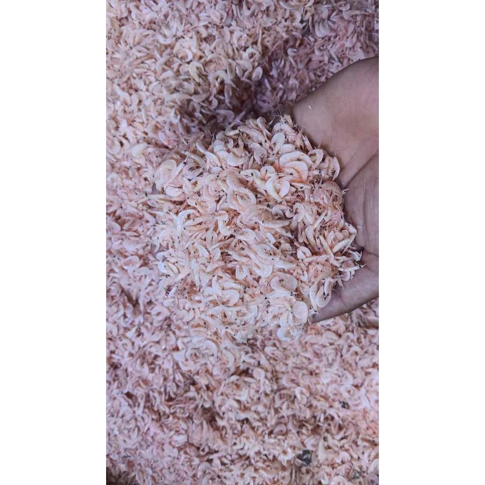 ~ UDANG REBON / UDANG KECEPE / EBI / UDANG KERING / EBI KERING / UDANG REBON ASIN / UDANG REBON TAWA