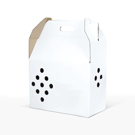 Box Jinjing Ayam Dus Putih 43x20x42  Box Packing Ayam Kemasan Dus Ayam Gable Box