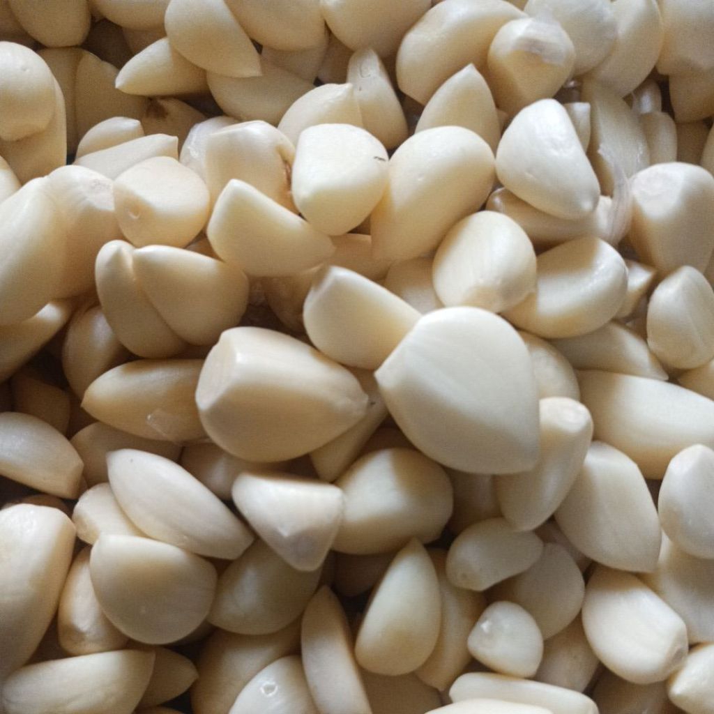 Bawang Putih Kating Kupas