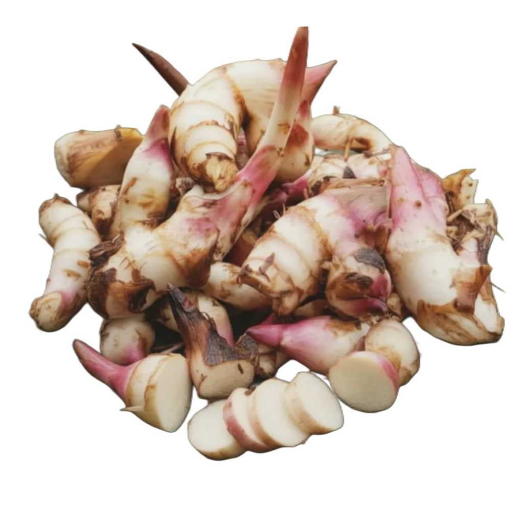 1 kg ganyong / umbi ganyong /jangklong