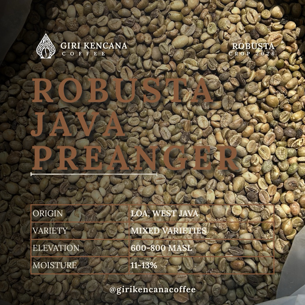 Green Bean Robusta Java Preanger – Coffee Bean Loa, Jawa Barat Regular/Commercial Grade – Biji Kopi 