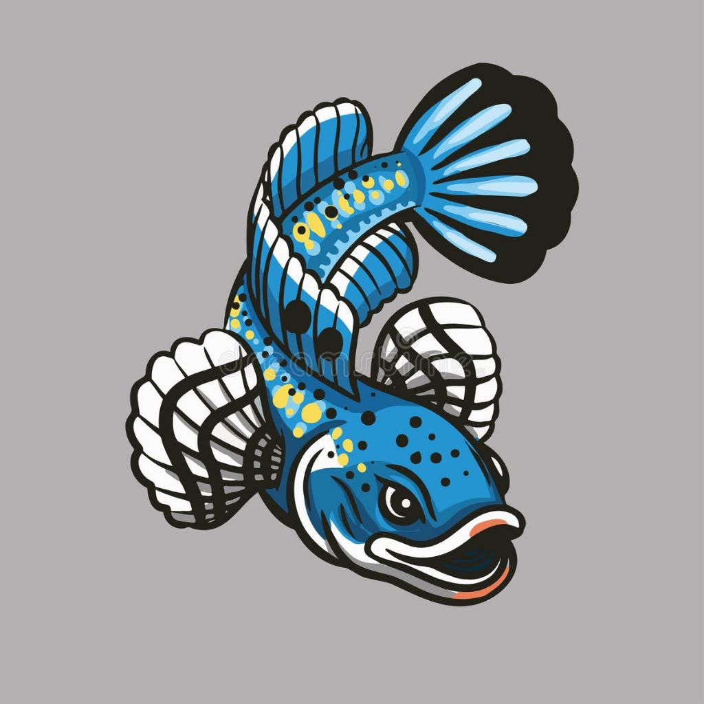 stiker chana blue Pulchra 11-12 cm