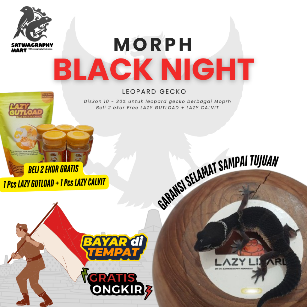 Mainan Anak GECKO Warna BLACK NIGHT BN SOLID