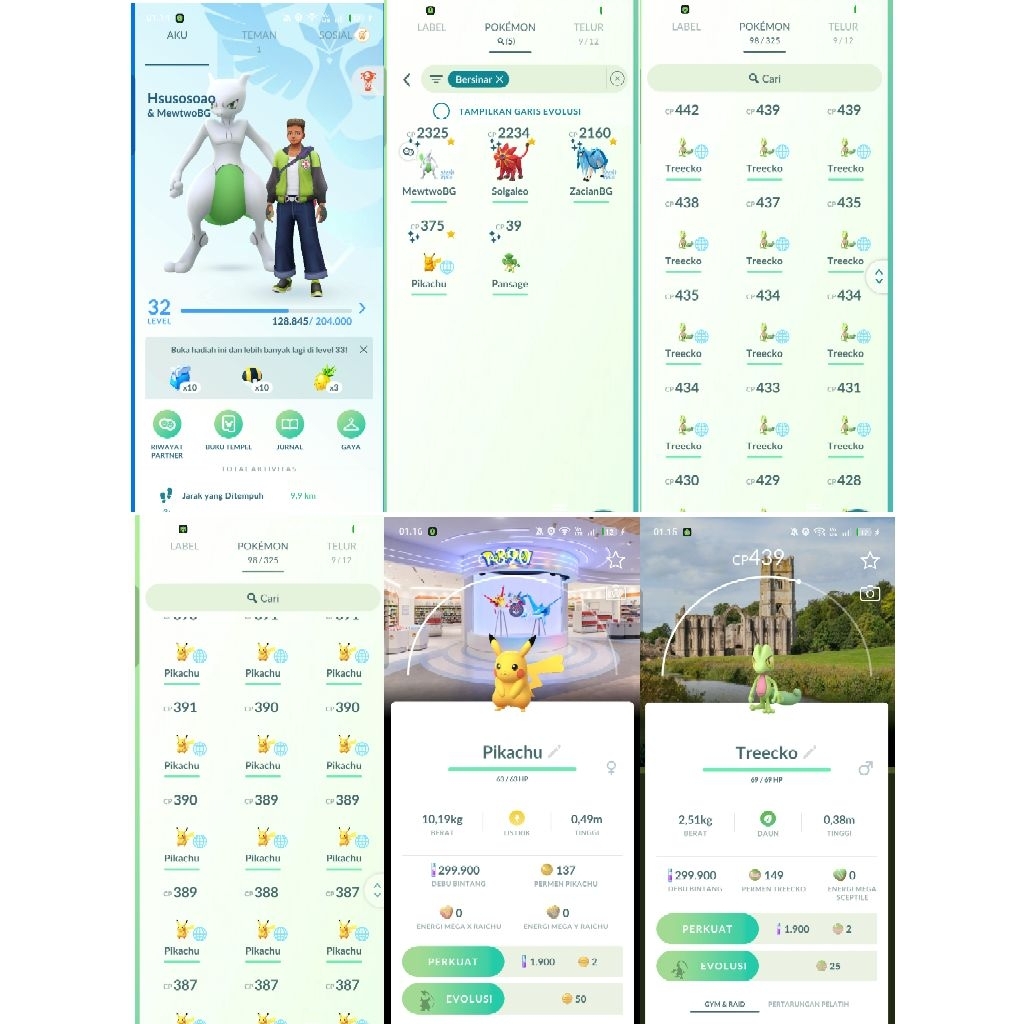 akun pokemon go Smurf