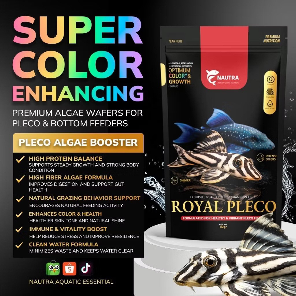 Nautra - Royal Pleco 80gr | Pakan Pelet Ikan Sapu - Sapu Protein Tinggi | Makanan Pelet Ikan Pleco F