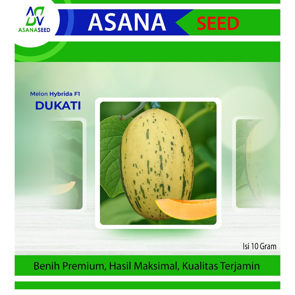 Benih Melon Dalmation DUKATI F1 - ASANA SEED