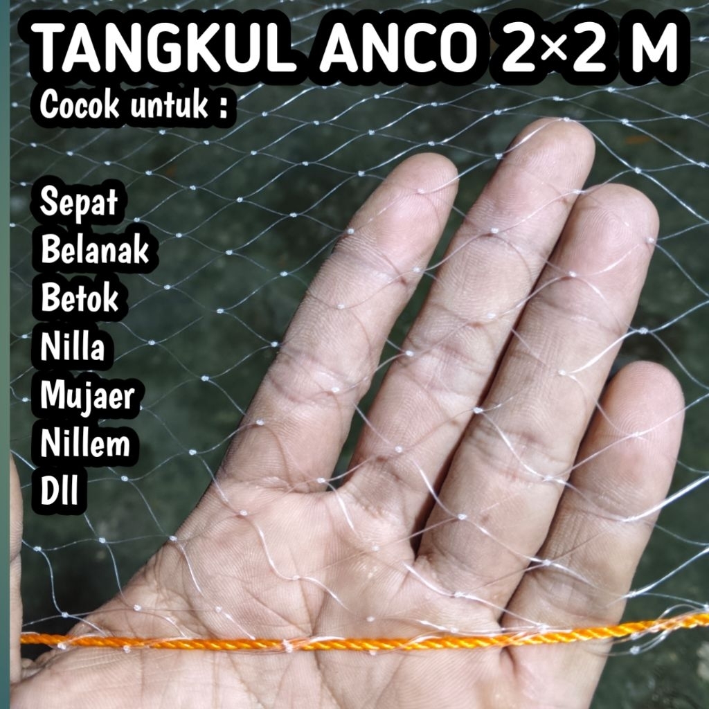 Tangkul anco 2×2 m / jaring anco ikan sepat belanak nilla mujaer branjang ikan