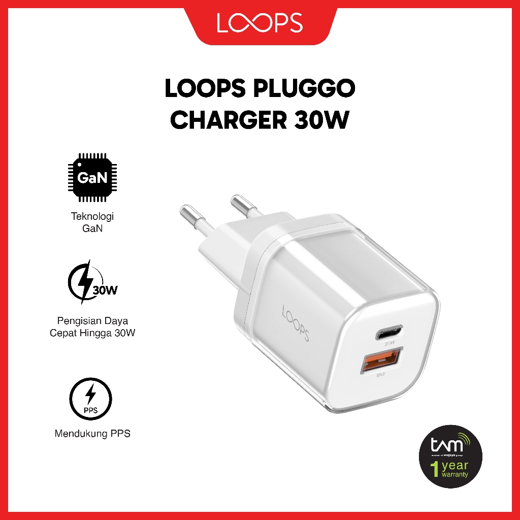 Loops Pluggo Charger 30W