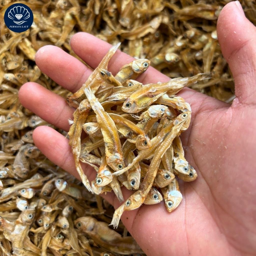 Teri Tawar Kering / Teri Ceples Tawar / Teri Bunga Tawar 1 Kg TERMURAH