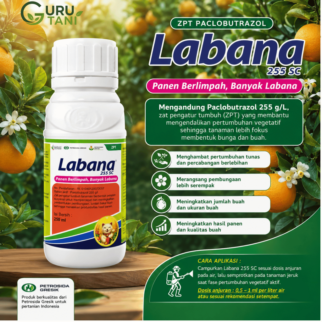 LABANA 225SC 250ML ZAT PENGATUR TUMBUH TANAMAN Paclobutrazol