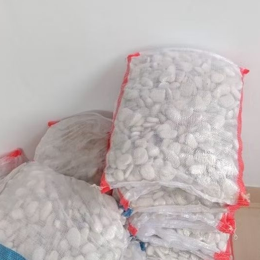 Batu koral putih kupang kemasan 10 kg-batu koral putih