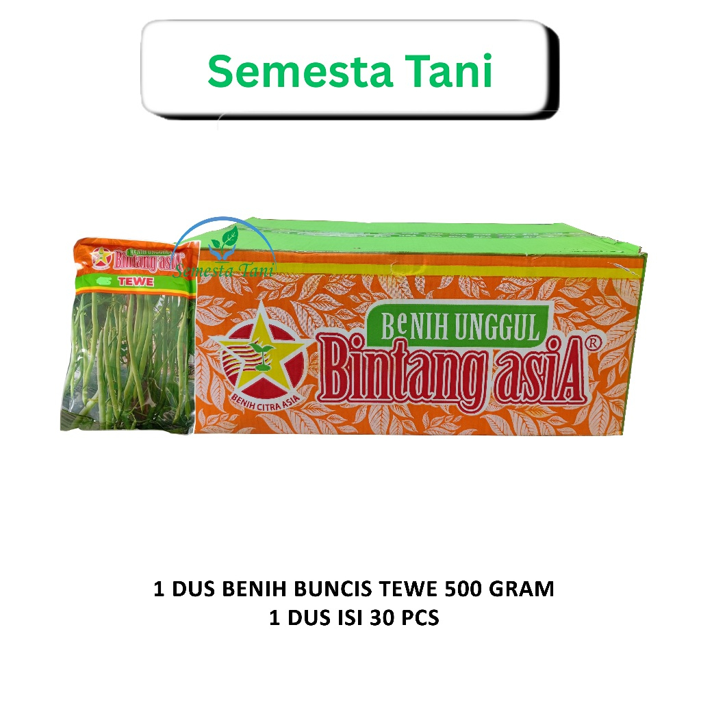 1 DUS - BENIH BUNCIS TEWE 500 GRAM - 1 DUS ISI 30 PCS - BUNCIS TEWE BINTANG ASIA