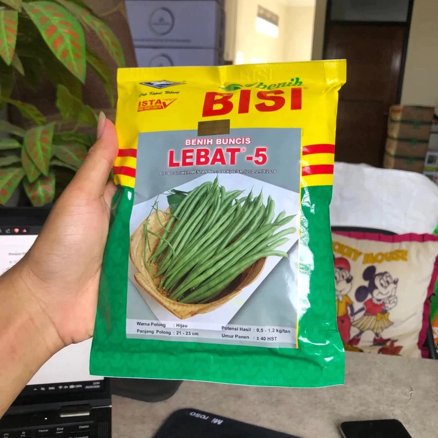 BENIH BUNCIS LEBAT - 5 500 GRAM - CAP KAPAL TERBANG