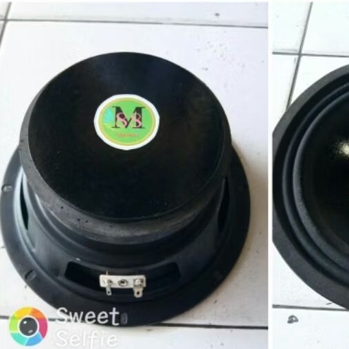 speaker midle 8 inci mahnet 12 m88 low midle subwoferi