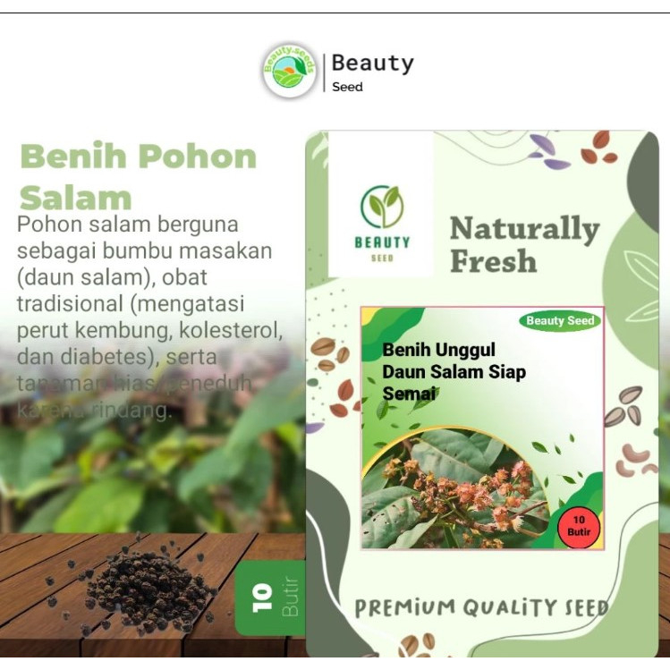10 Butir Biji Daun Salam Siap Semai - Biji Benih Daun Salam Siap Tanam