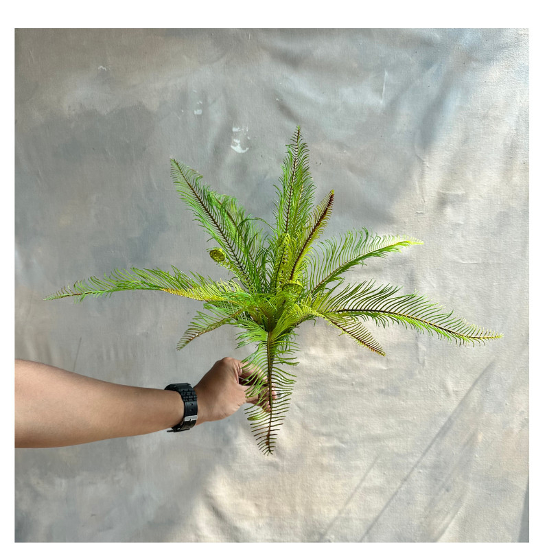 Bunga Artificial | Skeletal Fern Bunch