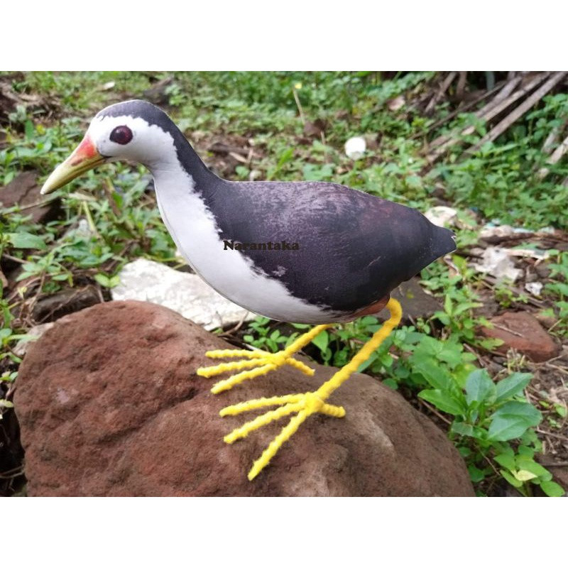 Patung Burung Ruak Ruak - Desain Realistis, Bahan Tahan Air, Ukuran Asli