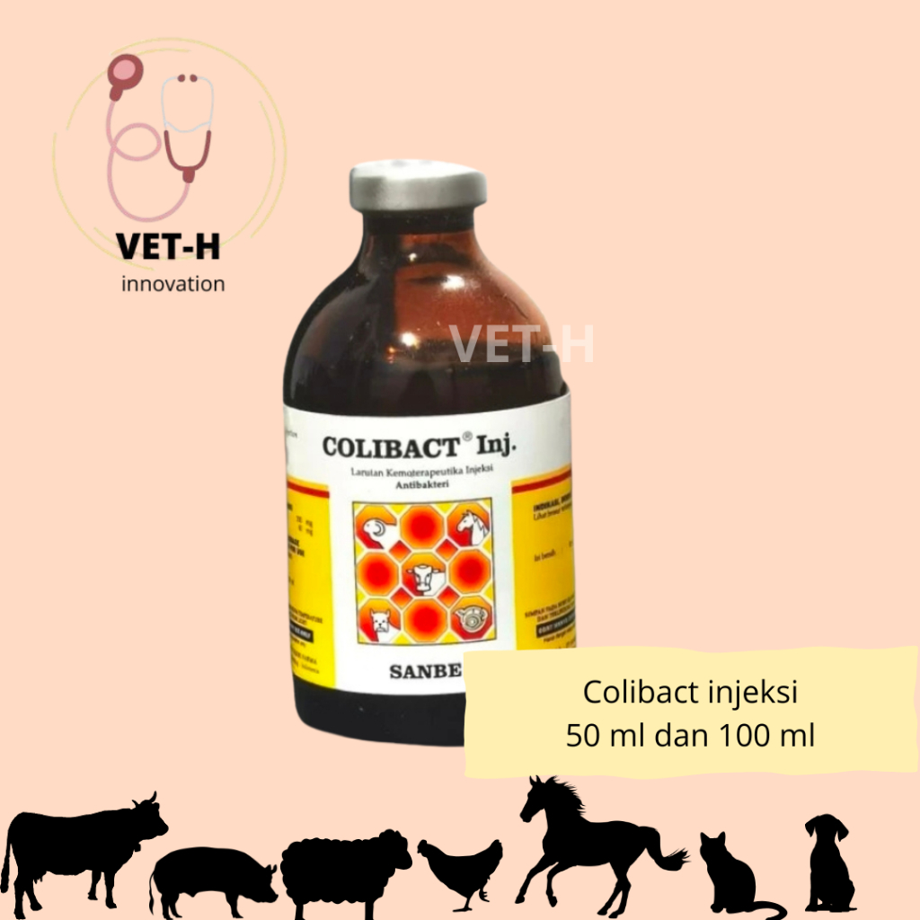 Colibact Injeksi Sanbe- obat antibiotik pada hewan
