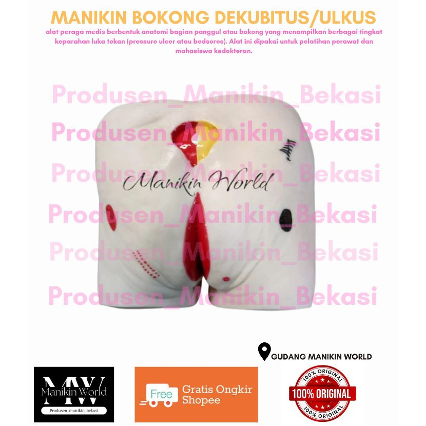 MANIKIN BOKONG DECUBITUS/MODEL ULKUS DEKUBITUS/PHANTOM LUKA ULKUS DECUBITUS