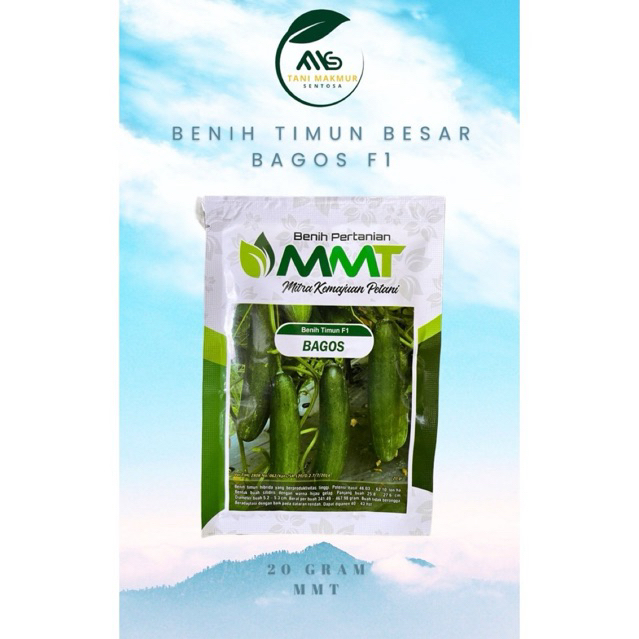 Benih Timun BAGOS F1 (20 gram) MMT Seed