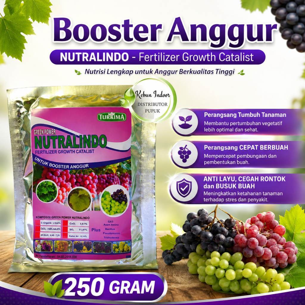 Pupuk Organik Booster Anggur, Perangsang Buah Anggur Ampuh, Pupuk Anggur Cepat Berbuah