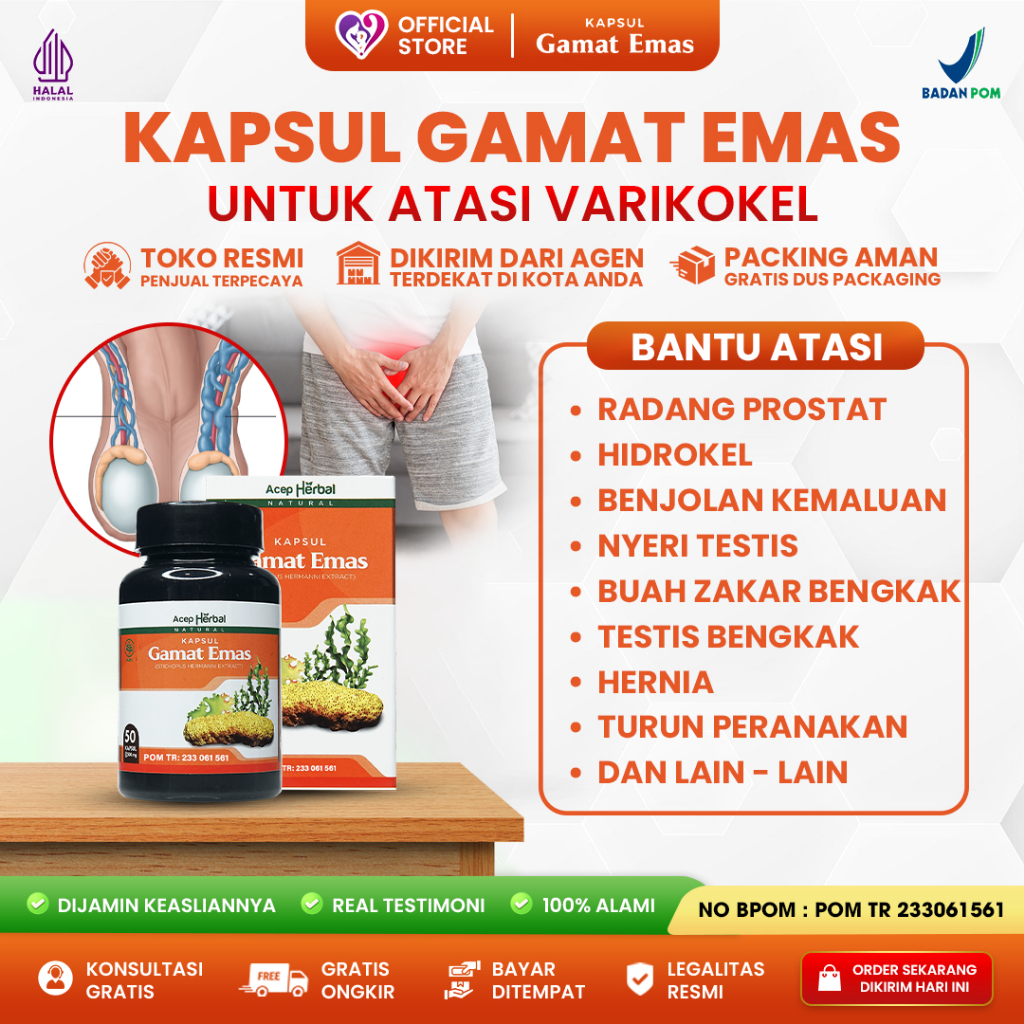 Obat Herbal Kapsul Gamat Emas 100% Original - Obat Varikokel Benjolan Kemaluan  Hernia Turun Berok