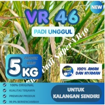 benih Padi VR 46 5kg